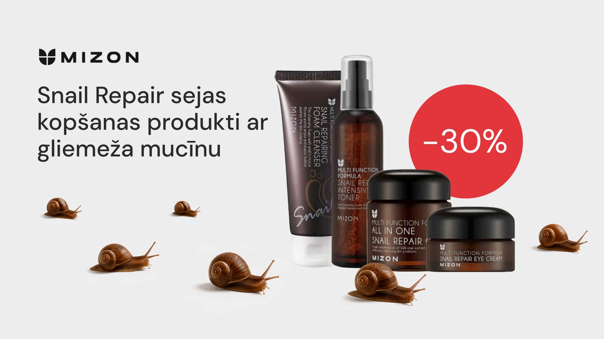 mizon